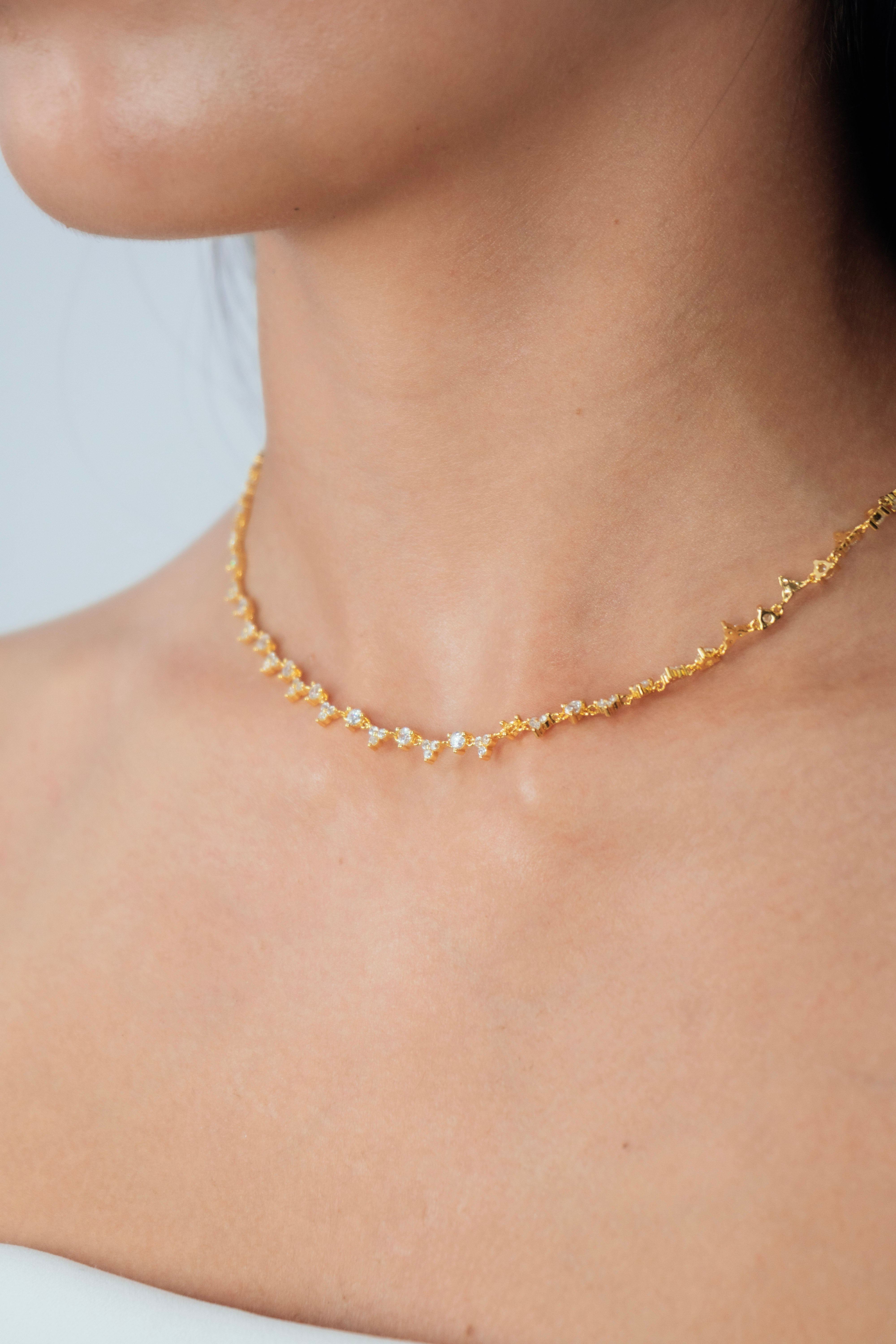 COLLAR CELEBRITY