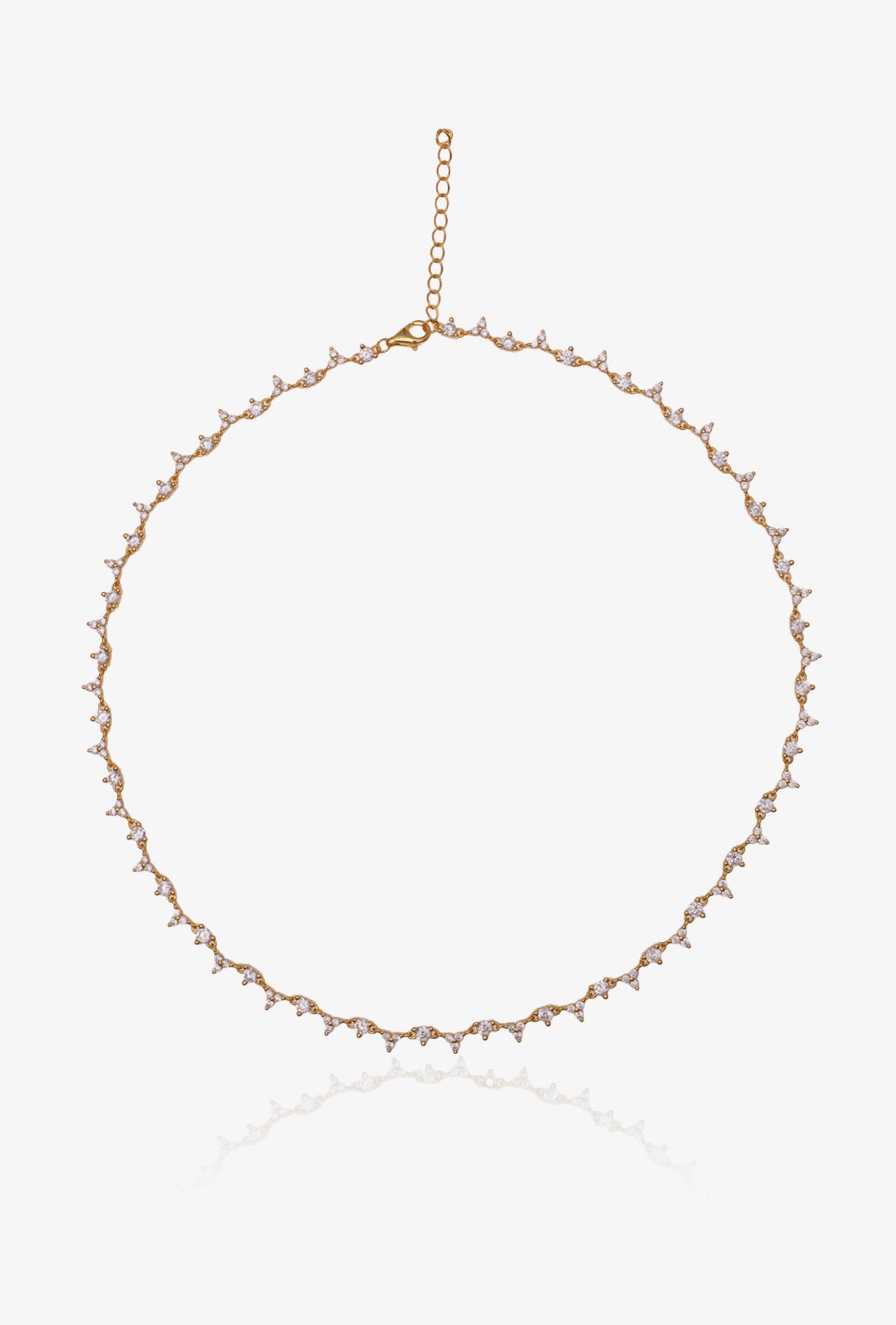 COLLAR CELEBRITY