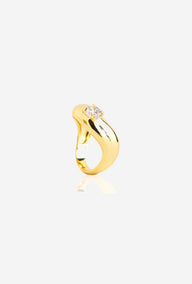 Anillos