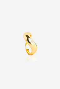Anillos